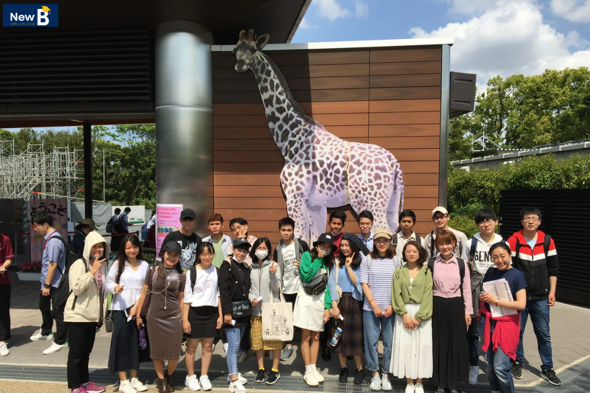 Hoạt động ngoại khoá tại sở thú của trường Nhật ngữ Osaka