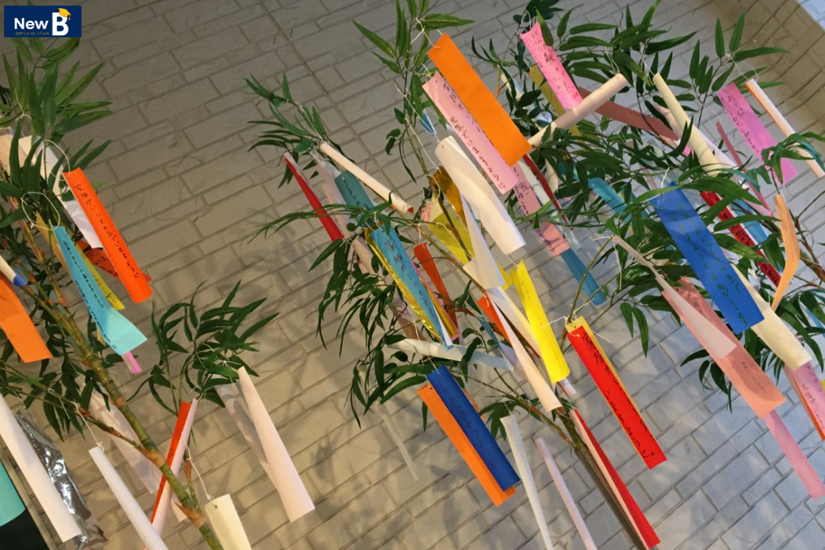 Trường Nhật ngữ Osaka mừng ngày lễ Tanabata