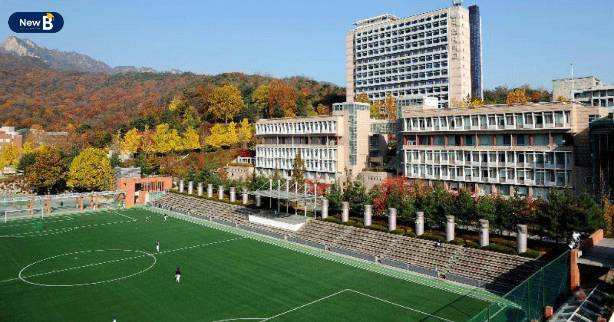 Sân thể theo khang trang của trường đại học Kookmin
