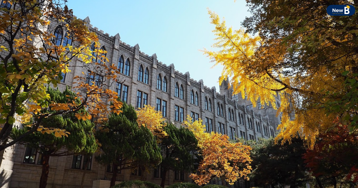 Trường đại học Kyunghee có 3 khu học tập: khu Seoul rộng khoảng 100 héc-ta rợp bóng cây, khu Suwon rộng 200 héc-ta nằm cạnh hồ Singal trong xanh, khu Kwangnung rộng 5 héc-ta nằm ở phía Bắc Seoul.