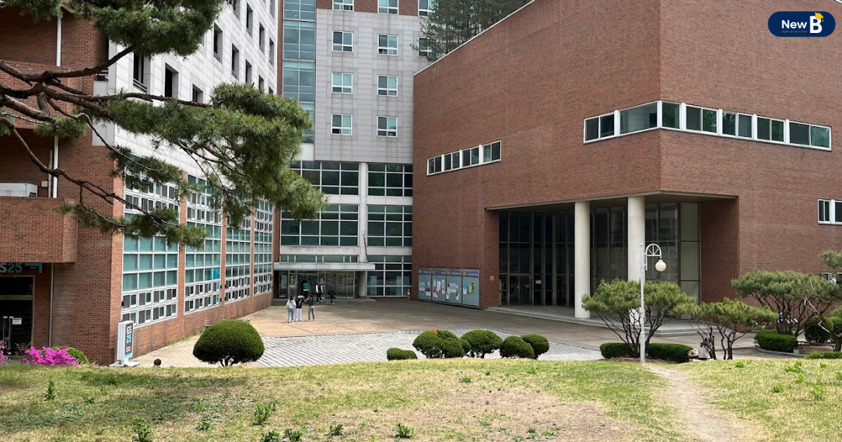 Đại học Nữ Seoul nổi tiếng với Khoa ngôn ngữ, Khoa kinh tế, Khoa hình ảnh ngôn luận,….