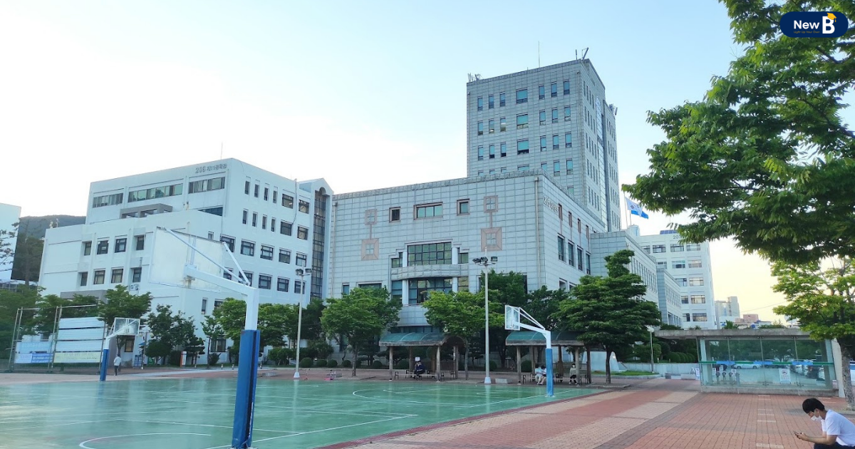 Sân bóng của trường đại học quốc gia Pusan rộng rãi, giúp sinh viên rèn luyện thể thao