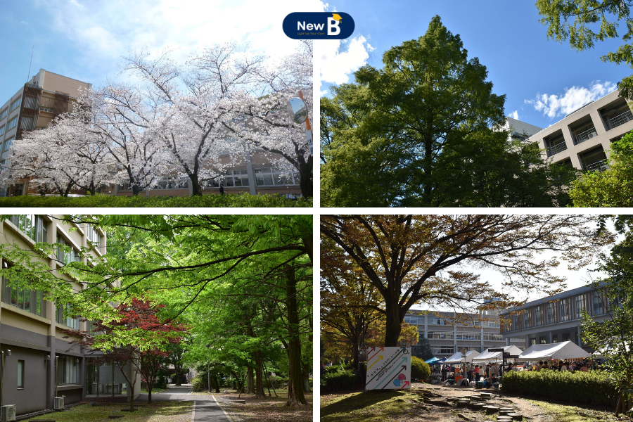 Khuôn viên trường đại học Saitama