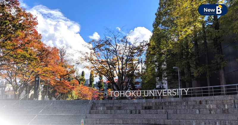 Đại học tohoku