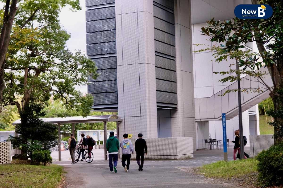 Chương trình đào tạo của đại học Osaka Chương trình đào tạo của đại học Osaka