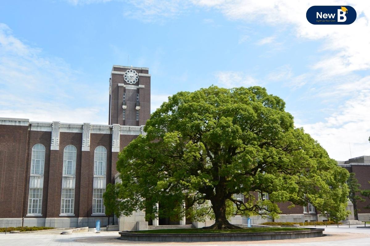 Trường Đại học Kyoto Trường Đại học Kyoto
