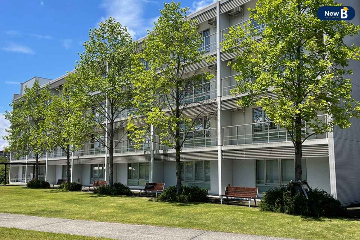 Global House  Global House