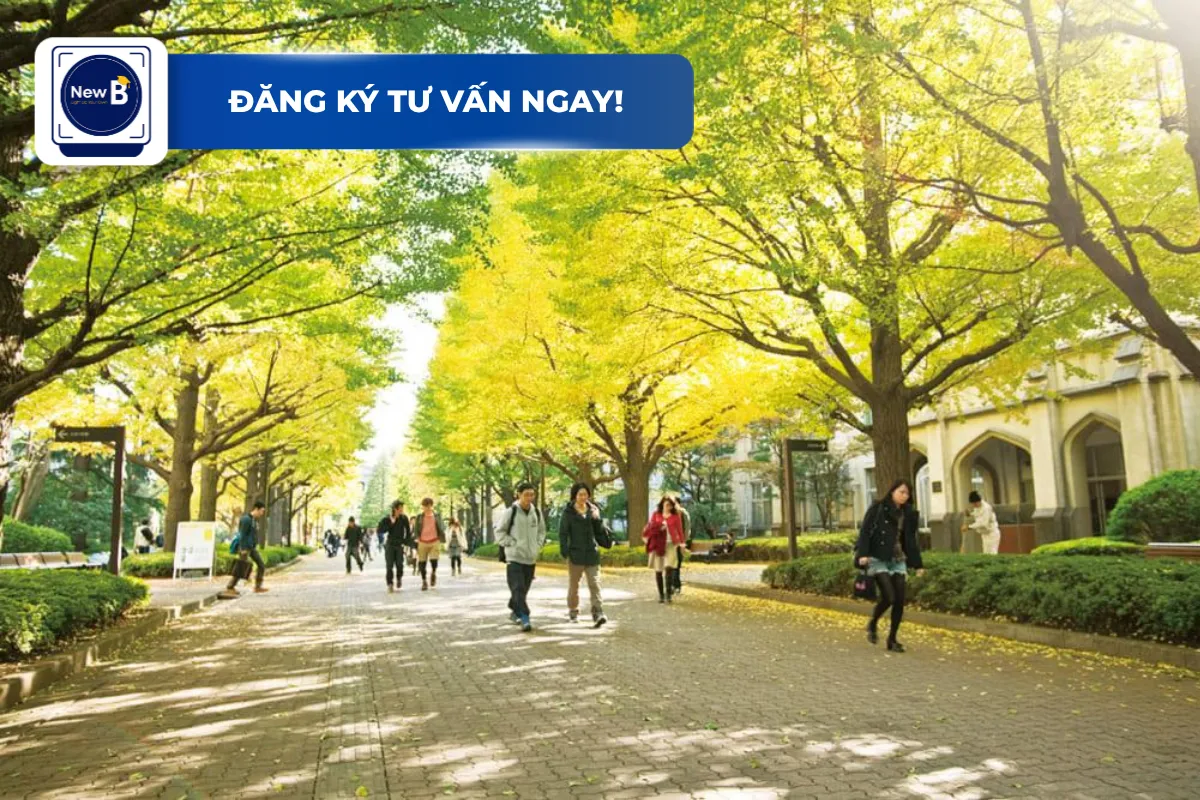 Sinh viên quốc tế tại khuôn viên trường ở Nhật Bản